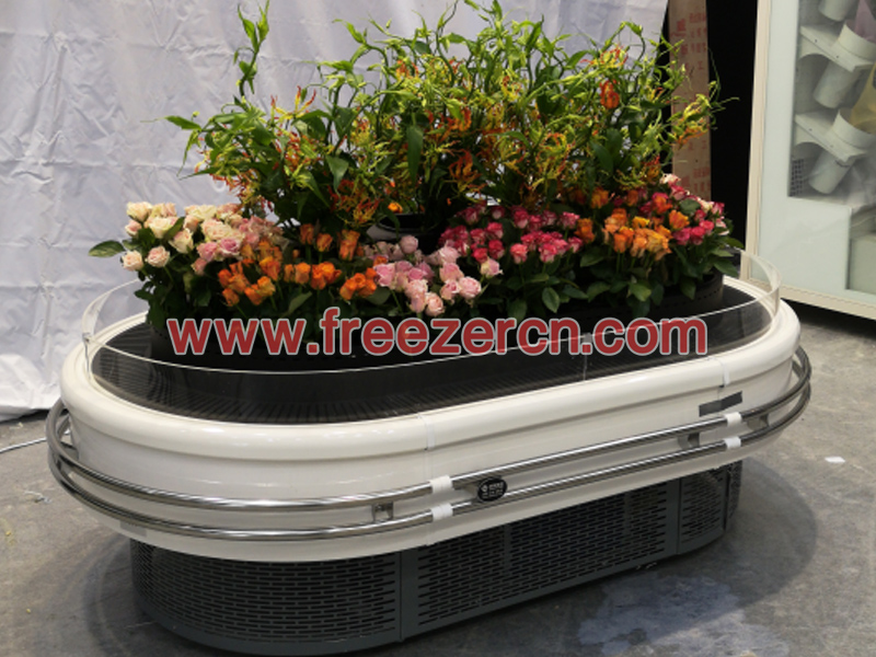 Single layer circular flower cooler refrigerator
