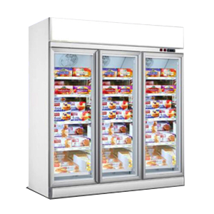 commercial freezer chest