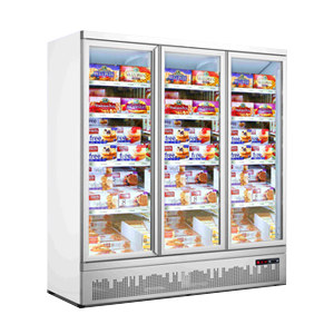 commercial deep freezer