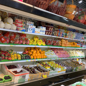 Supermarket stand-up cabinet for fresh Multi-Deck Merchandiser