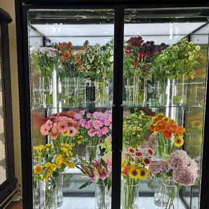 Flower shop two doors Flower Cooler for sale