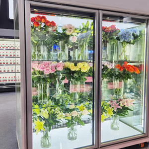 Glass door, two doors NAGATO flower cooler
