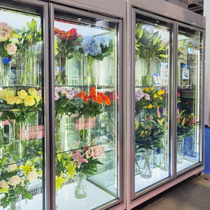 Glass door, two doors Flower Cooler for sale