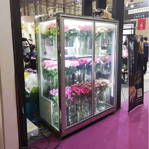 Glass door, two doors Flower Cooler for sale