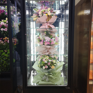 Single door glass door Cooler for Flower Air Curtain Machine