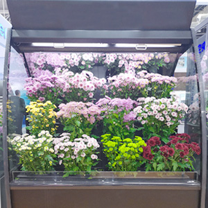 Open-ended Circular Arc Flower Cooler for sale