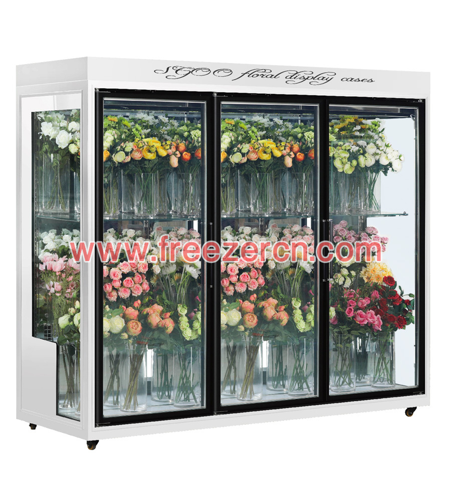 MS-Q19FE Rear mounted unit Glass door floral fridge